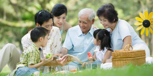 huyet-thong-ong-ba-chau